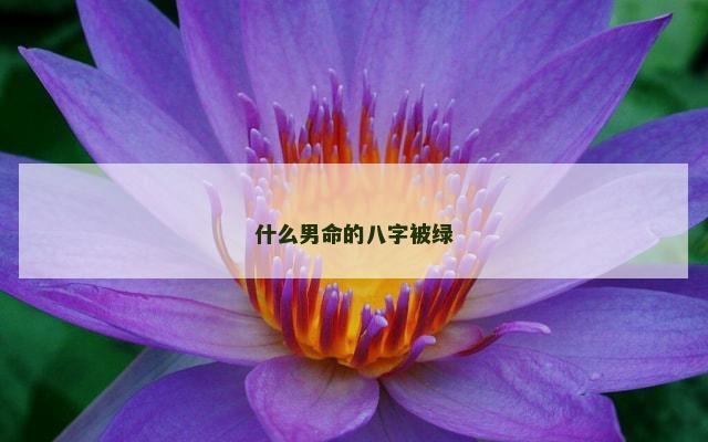 什么男命的八字被绿