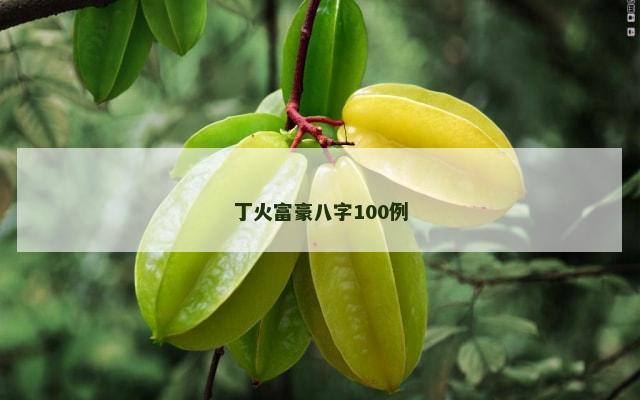 丁火富豪八字100例