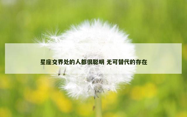 星座交界处的人都很聪明 无可替代的存在