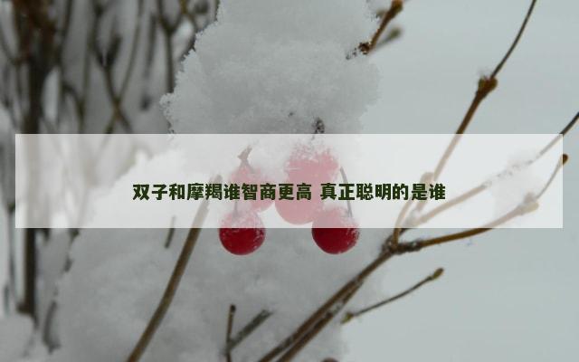 双子和摩羯谁智商更高 真正聪明的是谁