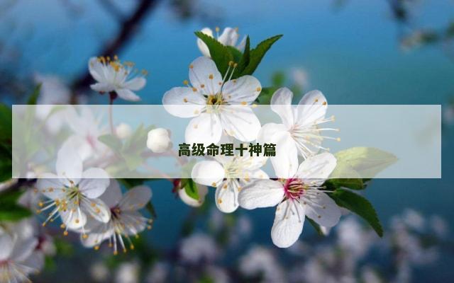 高级命理十神篇