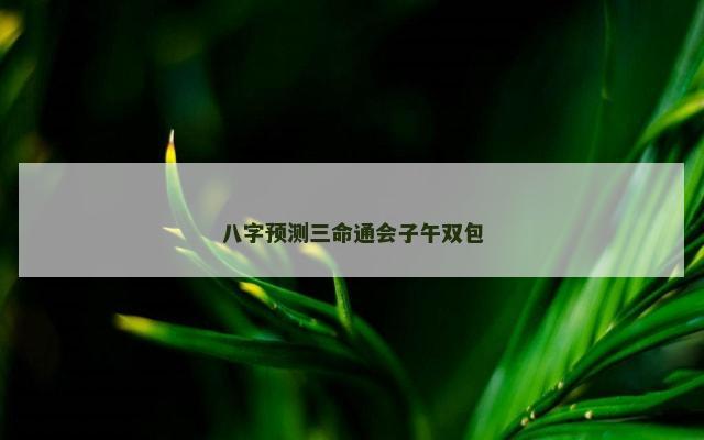 八字预测三命通会子午双包