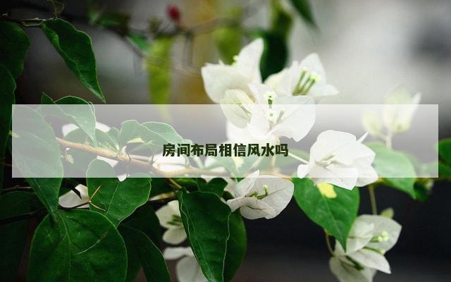房间布局相信风水吗