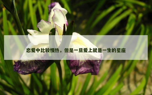 恋爱中比较慢热，但是一旦爱上就是一生的星座