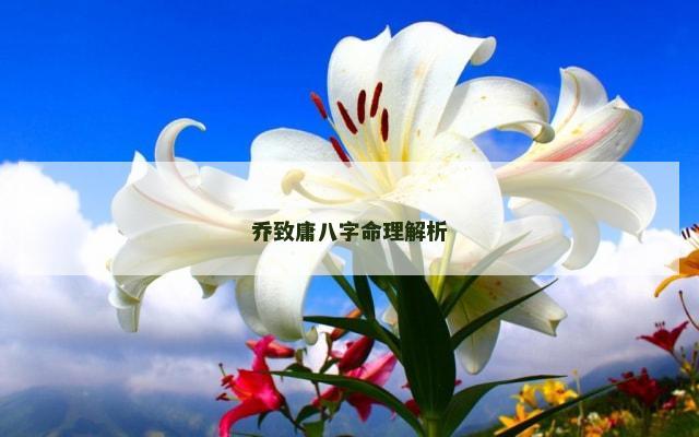 乔致庸八字命理解析