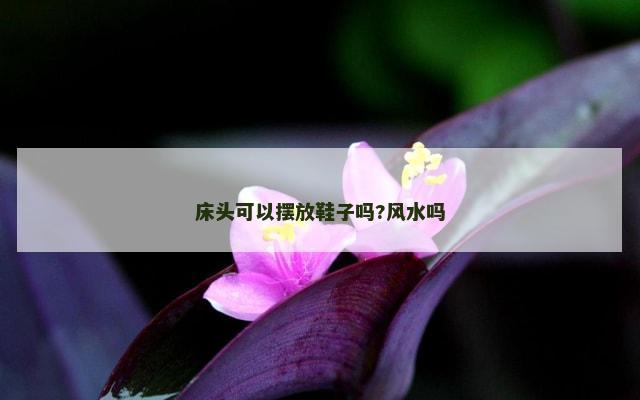 床头可以摆放鞋子吗?风水吗