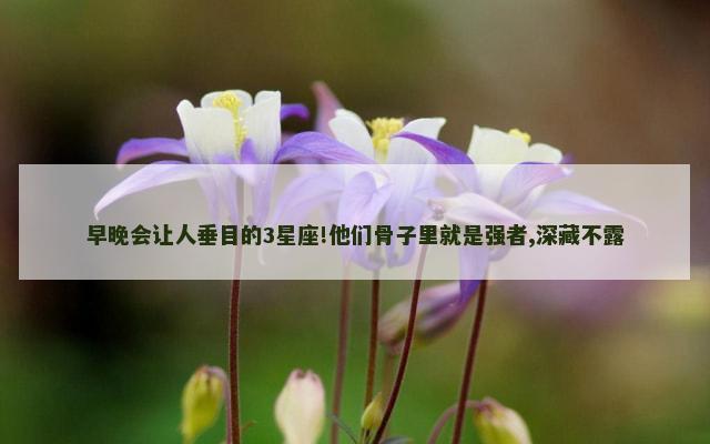 早晚会让人垂目的3星座!他们骨子里就是强者,深藏不露