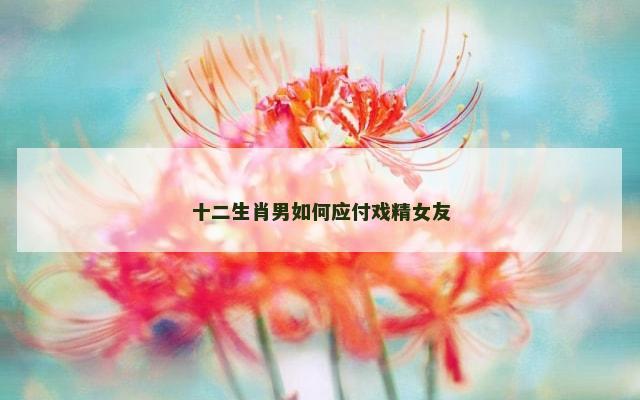 十二生肖男如何应付戏精女友