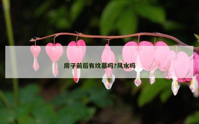 房子前后有坟墓吗?风水吗