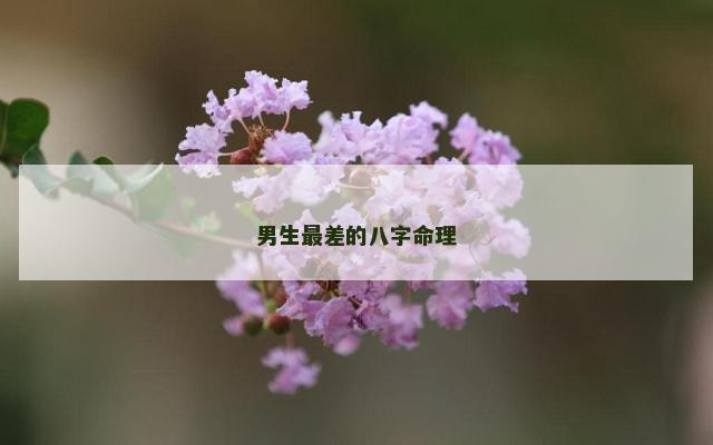 男生最差的八字命理