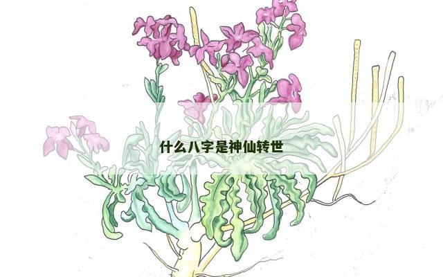 什么八字是神仙转世