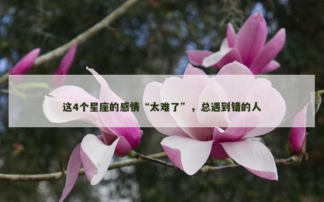 这4个星座的感情“太难了”，总遇到错的人