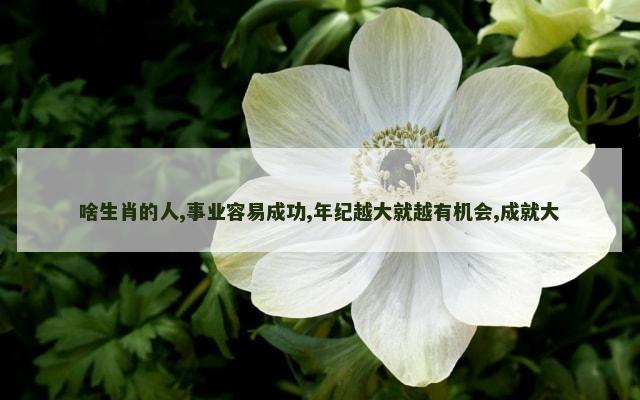 啥生肖的人,事业容易成功,年纪越大就越有机会,成就大