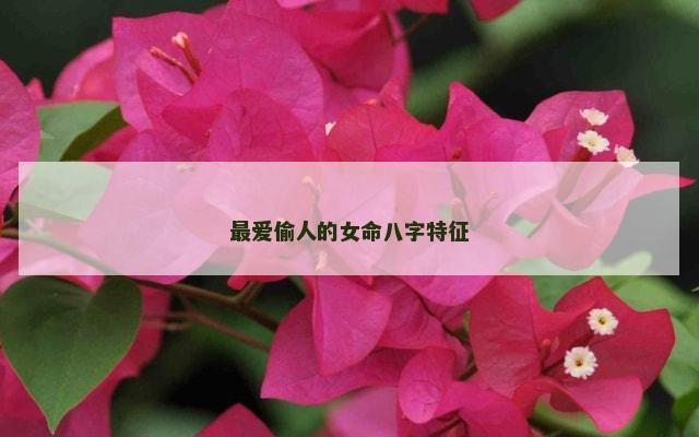 最爱偷人的女命八字特征