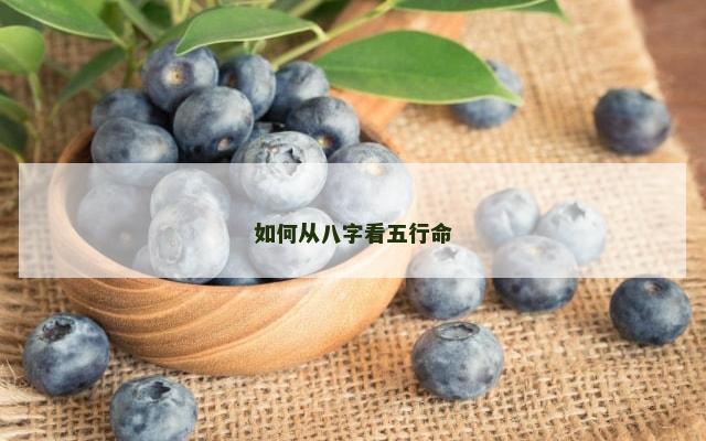 如何从八字看五行命