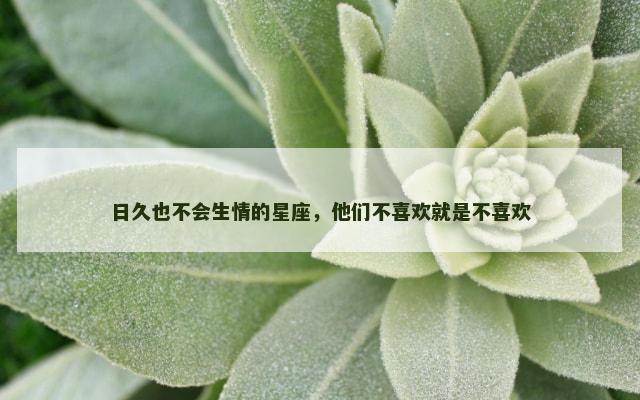 日久也不会生情的星座，他们不喜欢就是不喜欢