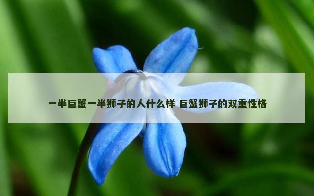 一半巨蟹一半狮子的人什么样 巨蟹狮子的双重性格