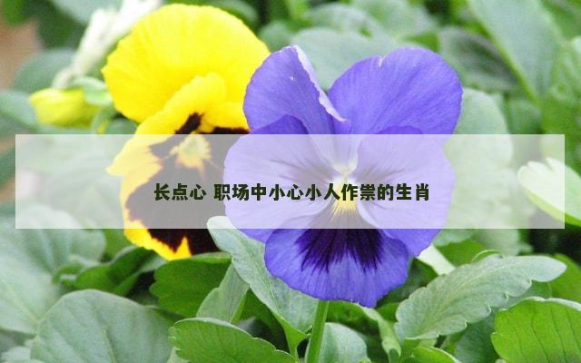 长点心 职场中小心小人作祟的生肖