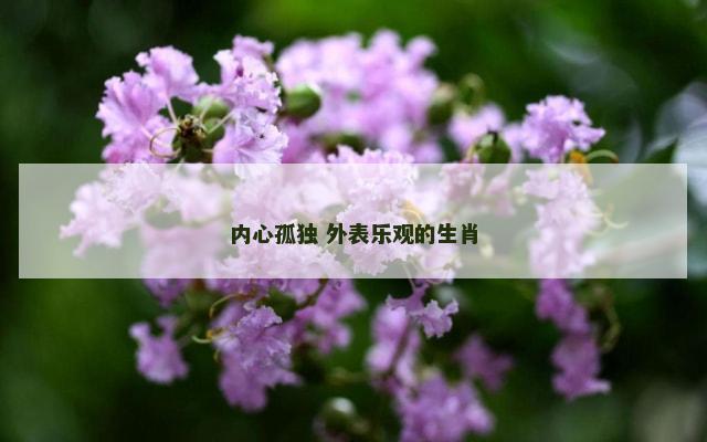 内心孤独 外表乐观的生肖