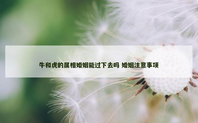 牛和虎的属相婚姻能过下去吗 婚姻注意事项