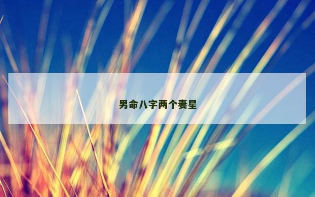 男命八字两个妻星