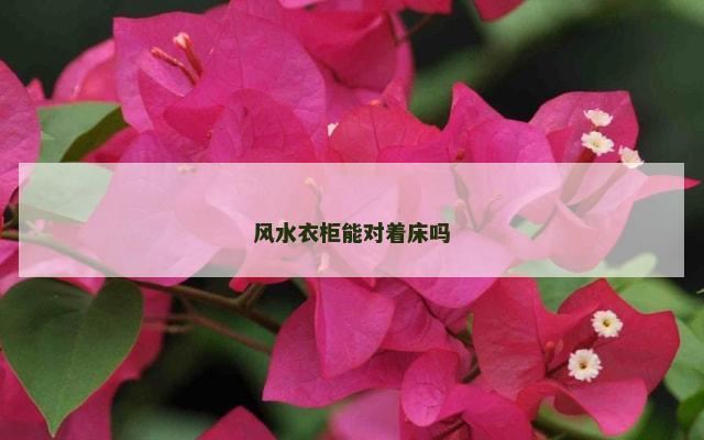 风水衣柜能对着床吗