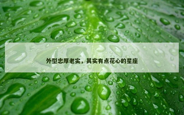 外型忠厚老实，其实有点花心的星座