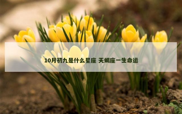 10月初九是什么星座 天蝎座一生命运
