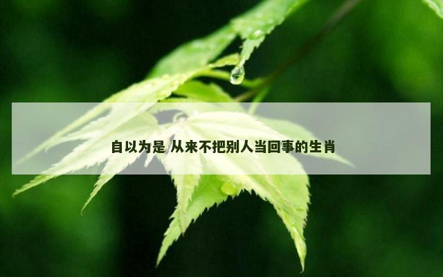 自以为是 从来不把别人当回事的生肖