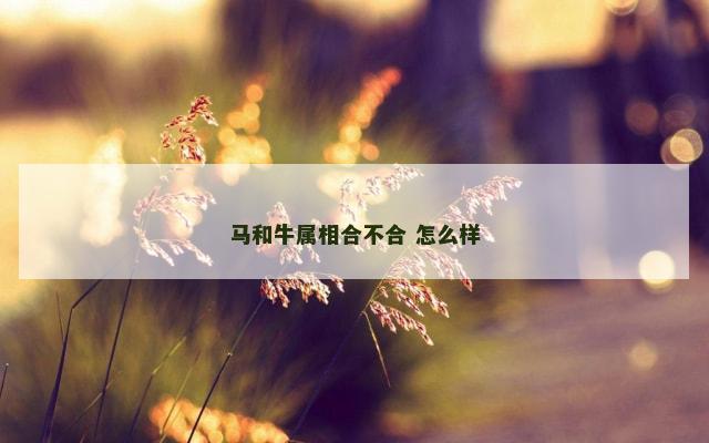 马和牛属相合不合 怎么样