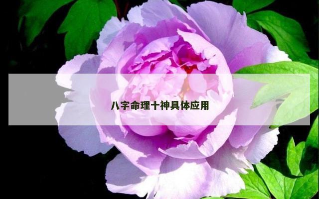 八字命理十神具体应用