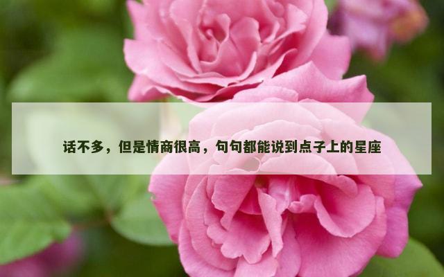 话不多，但是情商很高，句句都能说到点子上的星座
