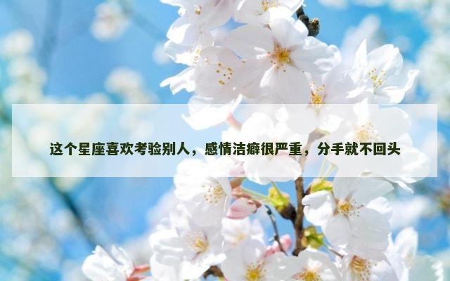 这个星座喜欢考验别人，感情洁癖很严重，分手就不回头