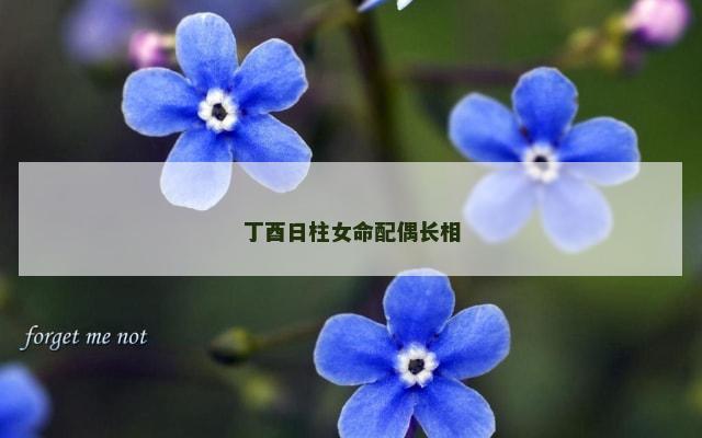 丁酉日柱女命配偶长相