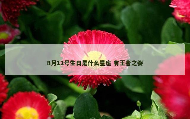 8月12号生日是什么星座 有王者之姿