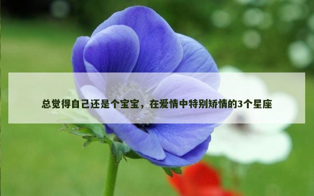 总觉得自己还是个宝宝，在爱情中特别矫情的3个星座