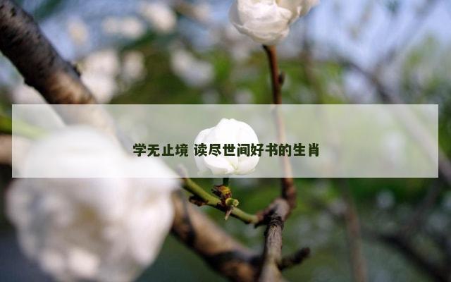 学无止境 读尽世间好书的生肖
