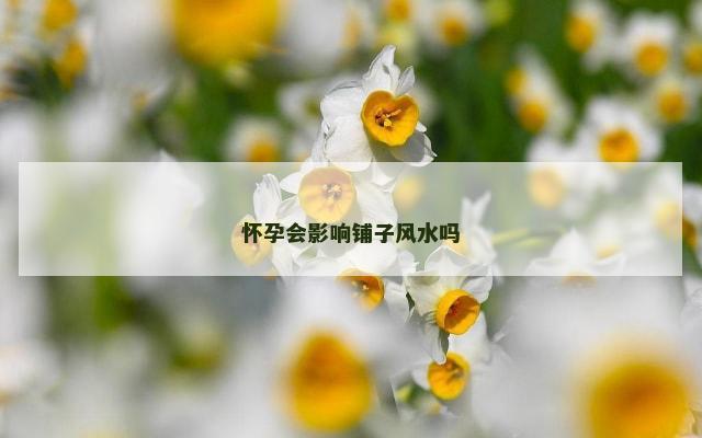 怀孕会影响铺子风水吗