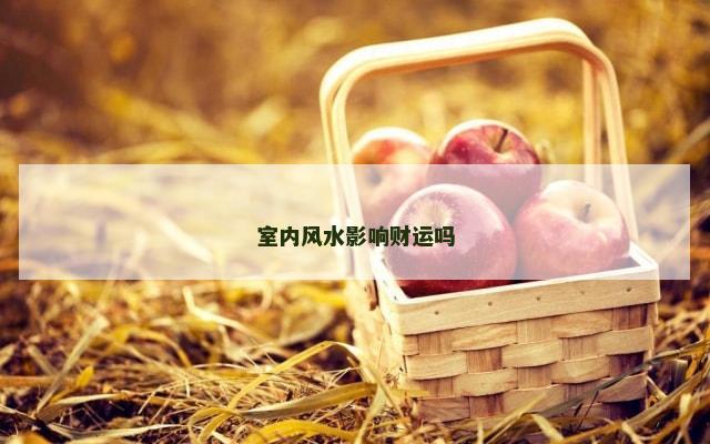 室内风水影响财运吗