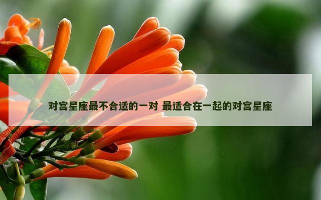 对宫星座最不合适的一对 最适合在一起的对宫星座