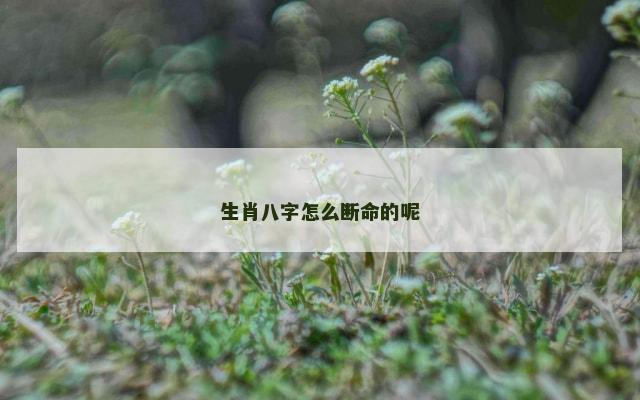生肖八字怎么断命的呢