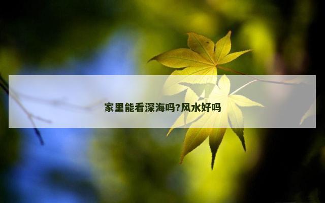 家里能看深海吗?风水好吗