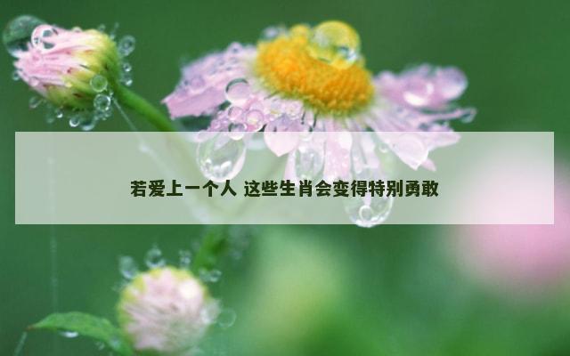 若爱上一个人 这些生肖会变得特别勇敢