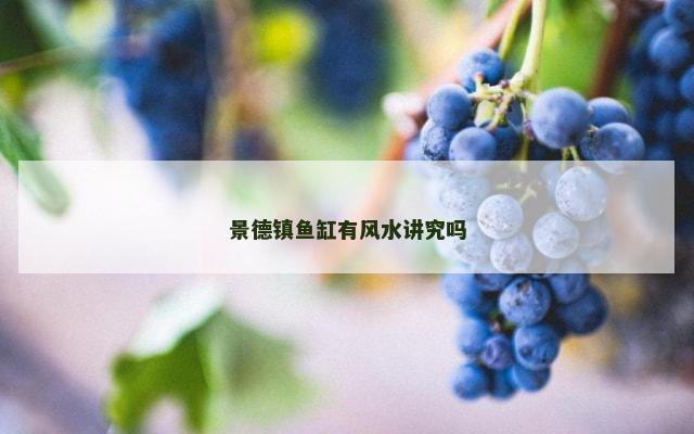 景德镇鱼缸有风水讲究吗