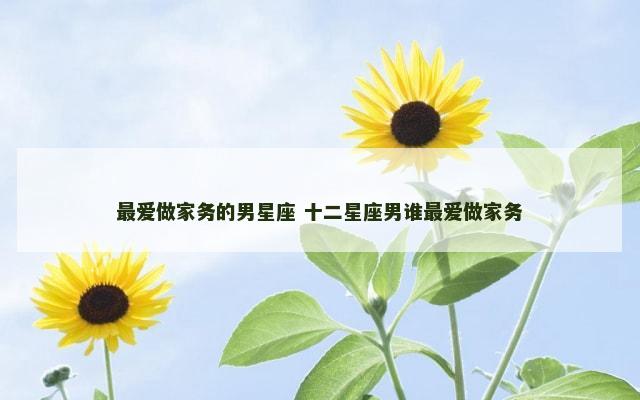 最爱做家务的男星座 十二星座男谁最爱做家务