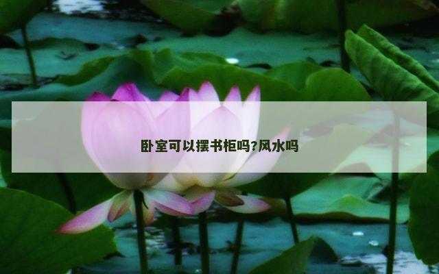 卧室可以摆书柜吗?风水吗