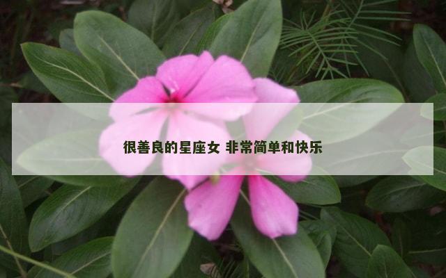 很善良的星座女 非常简单和快乐