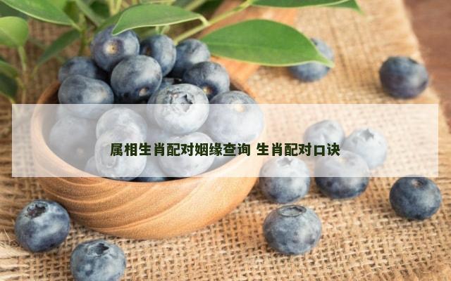 属相生肖配对姻缘查询 生肖配对口诀