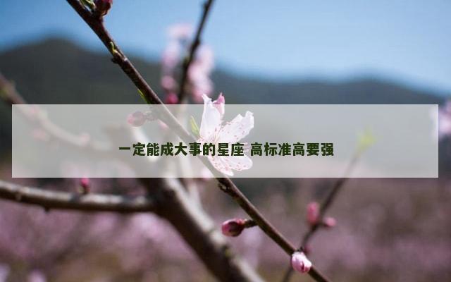 一定能成大事的星座 高标准高要强