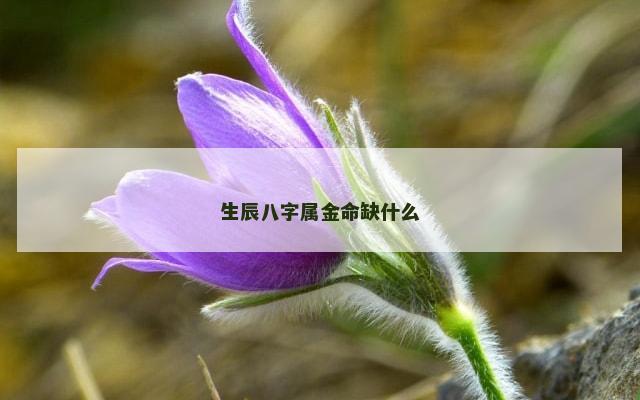 生辰八字属金命缺什么